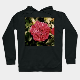 Retro Style Rose Print Hoodie